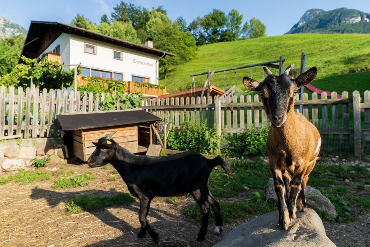 Trafisolerhof Pensionat Fiè Exteriör bild